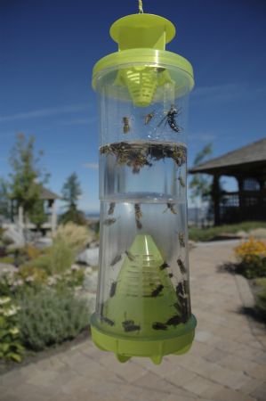 Rescue! WHY (Wasp, Hornet, Yellow Jacket) non-toxic reusable Trap