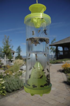 Rescue - WHY Trap - Wasp, Hornet, Yellow Jacket Reusable Trap, WHYTR Now in  Calgary Alberta Canada